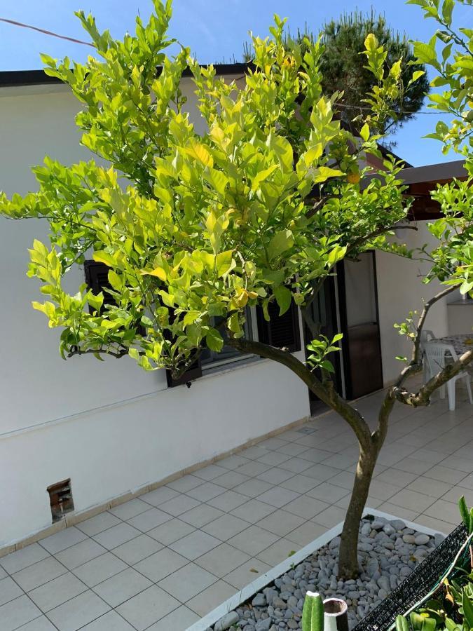 Quirino Residence กาเอตา ภายนอก รูปภาพ